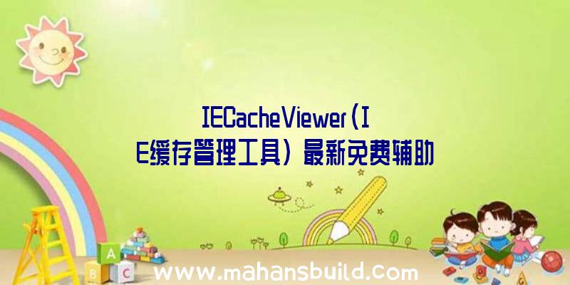 IECacheViewer(IE缓存管理工具)